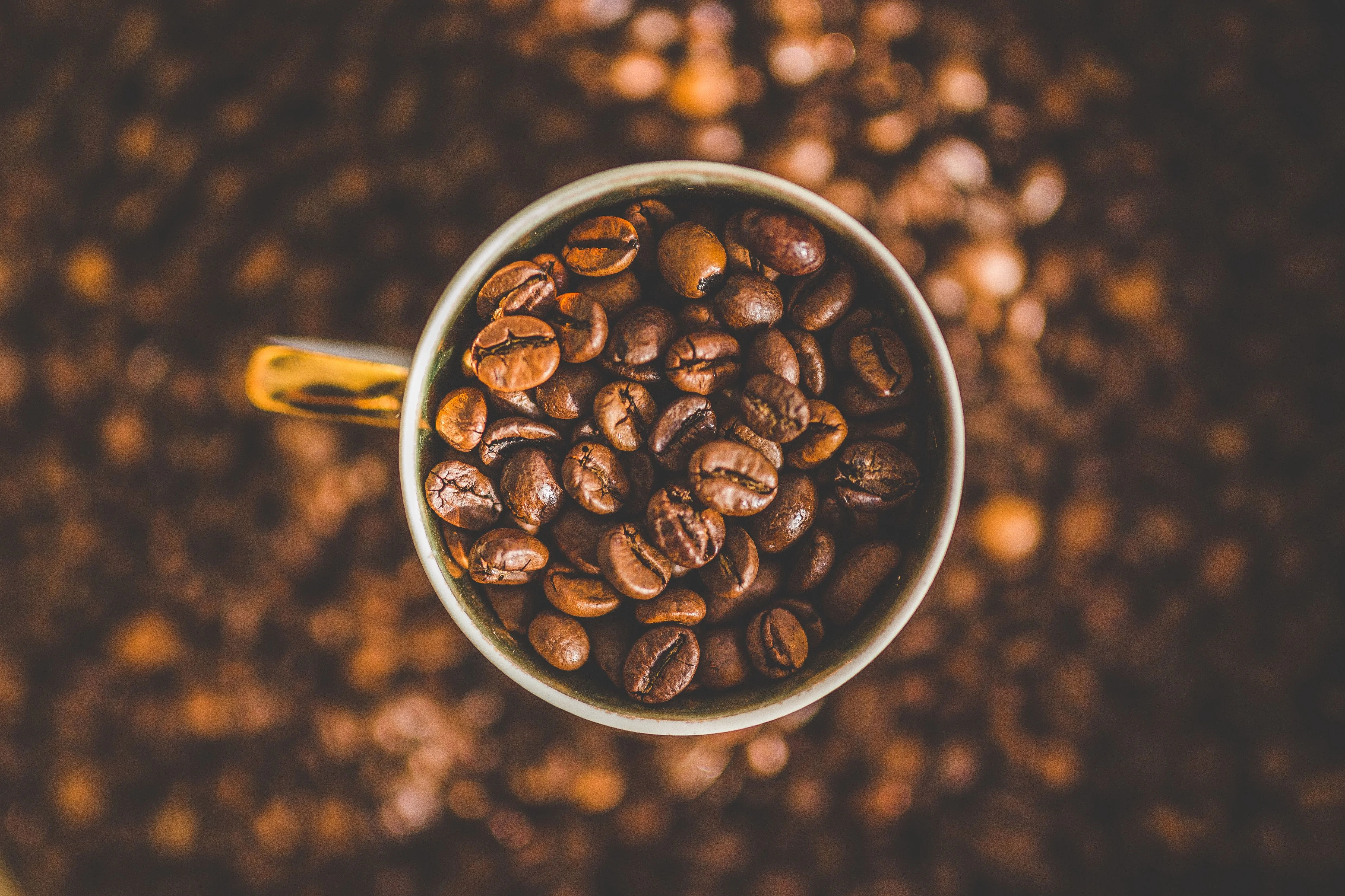 Vier verschillen tussen Arabica en Robusta koffiebonen