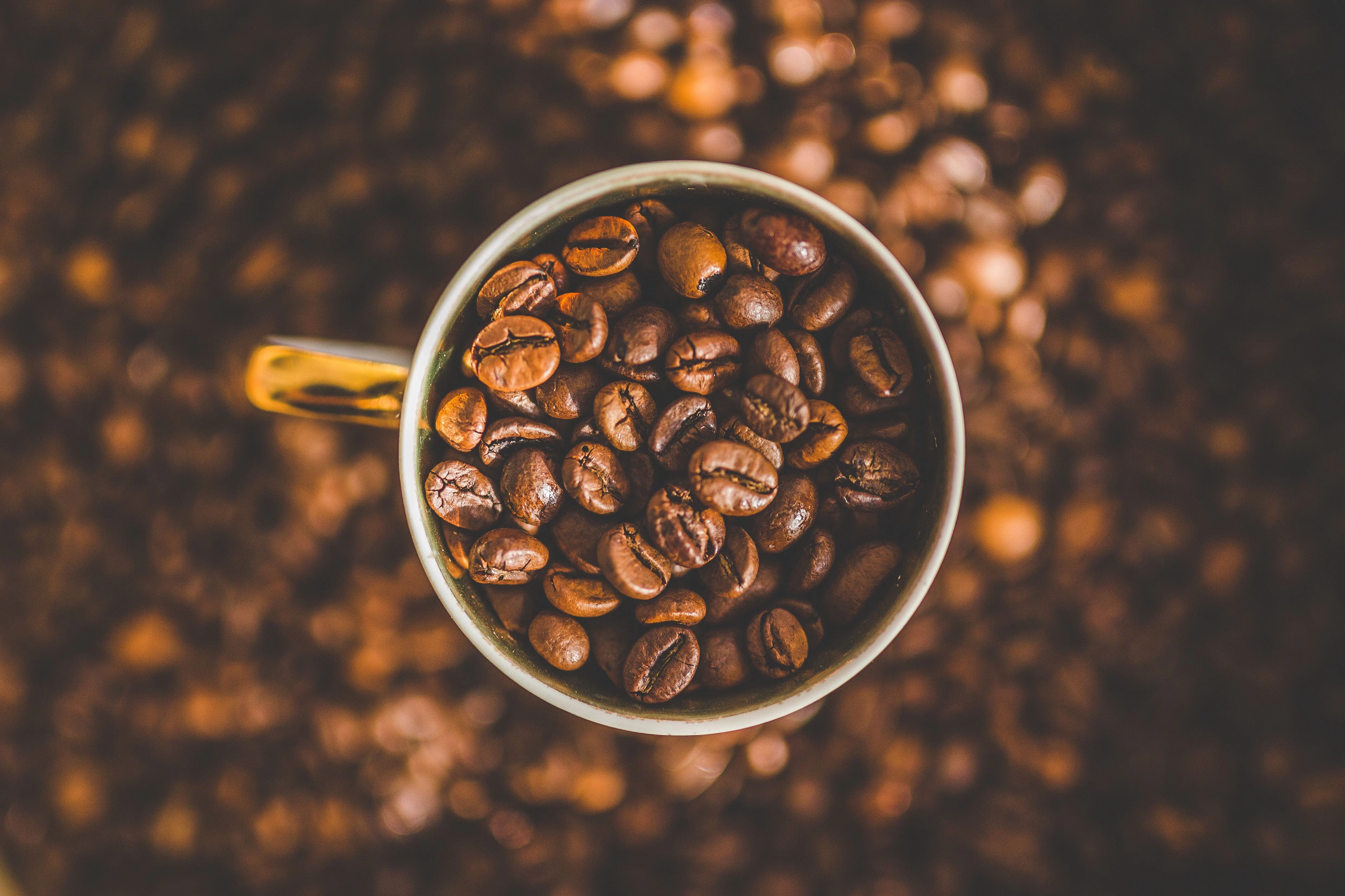 4 differences between Arabica and Robusta coffee beans